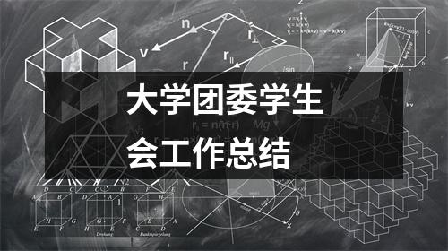 大学团委学生会工作总结